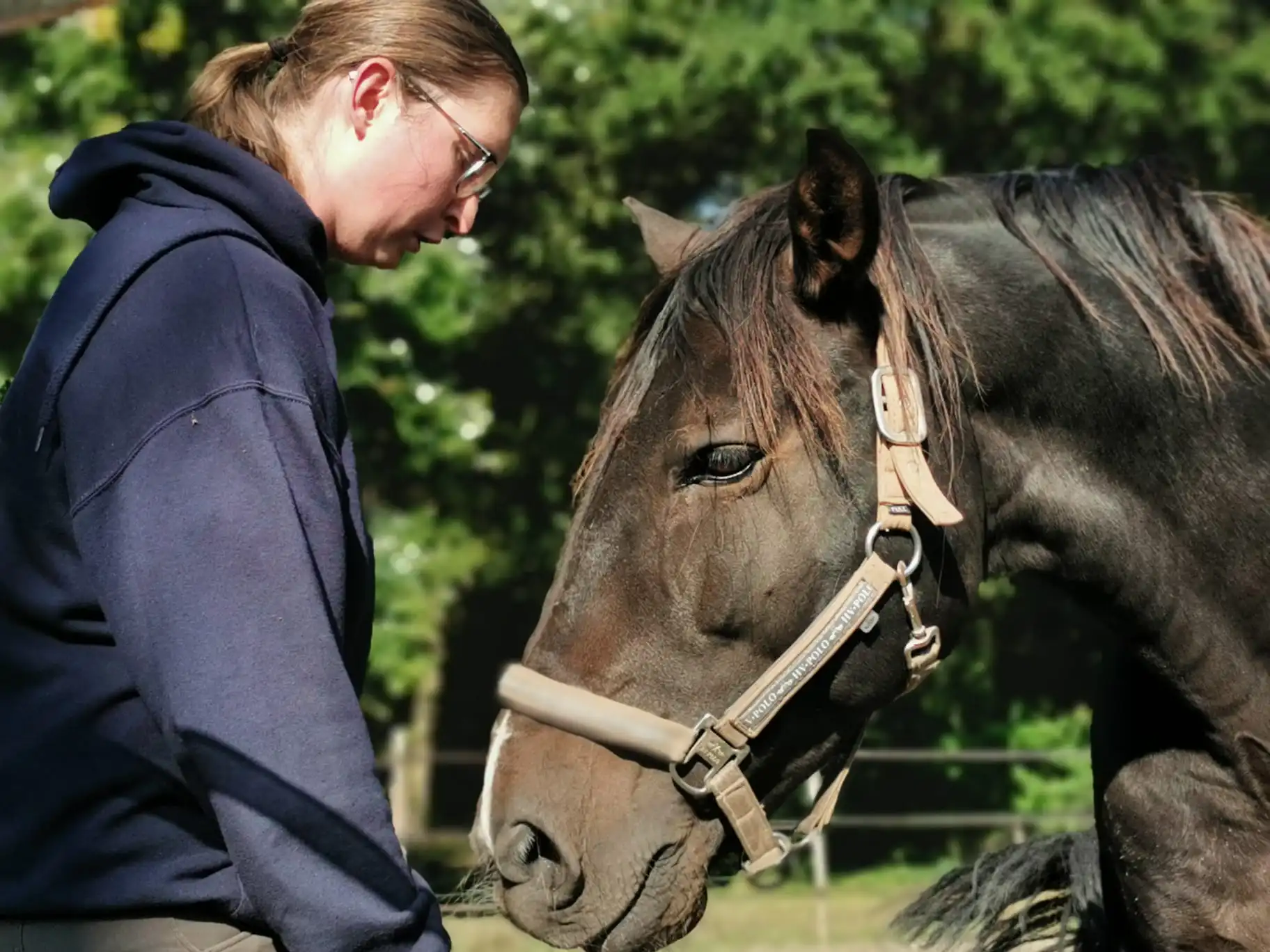 Karolien Abts, oprichter van Equi Novaro
