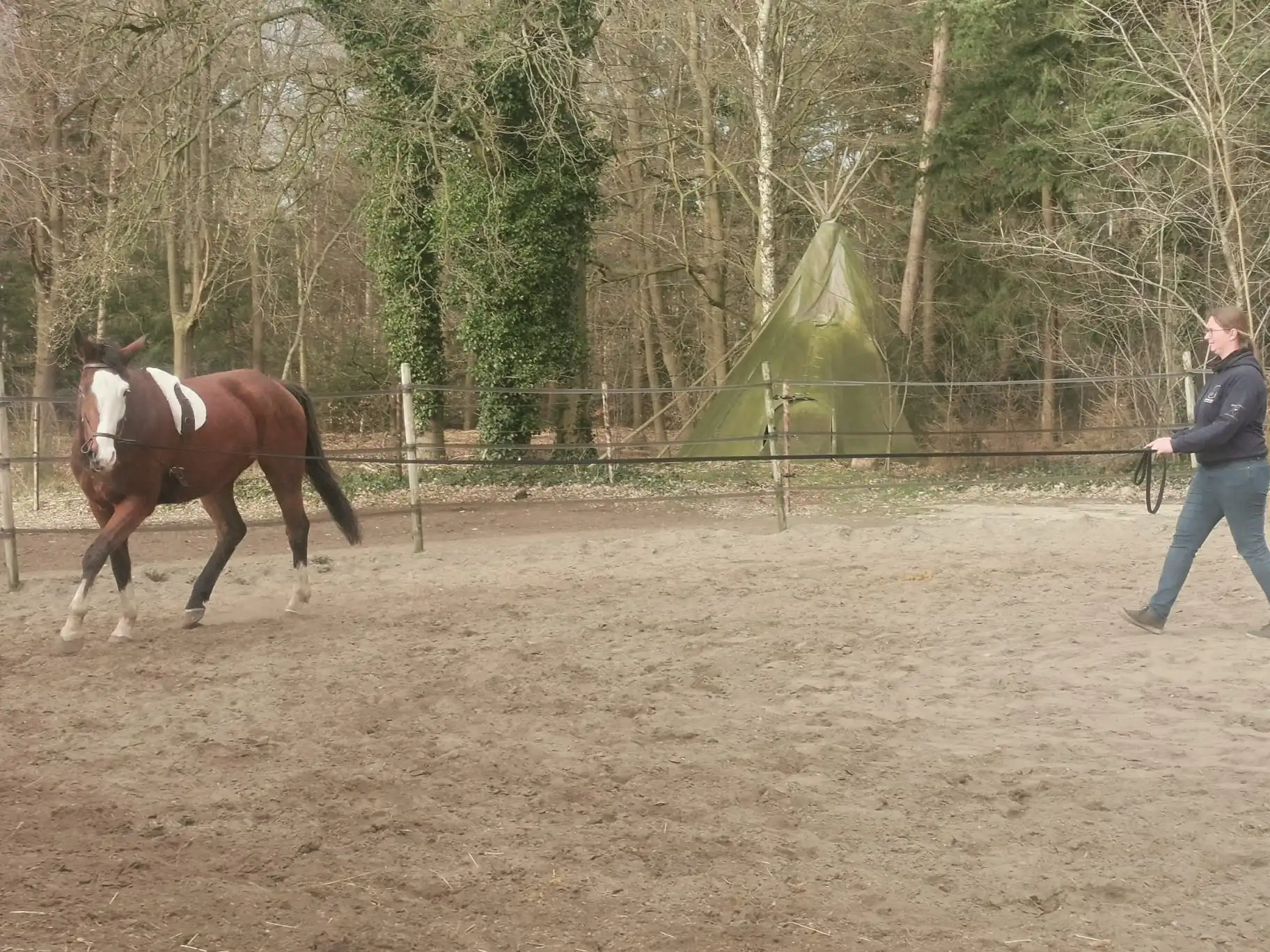 Paard training bij Equi Novaro