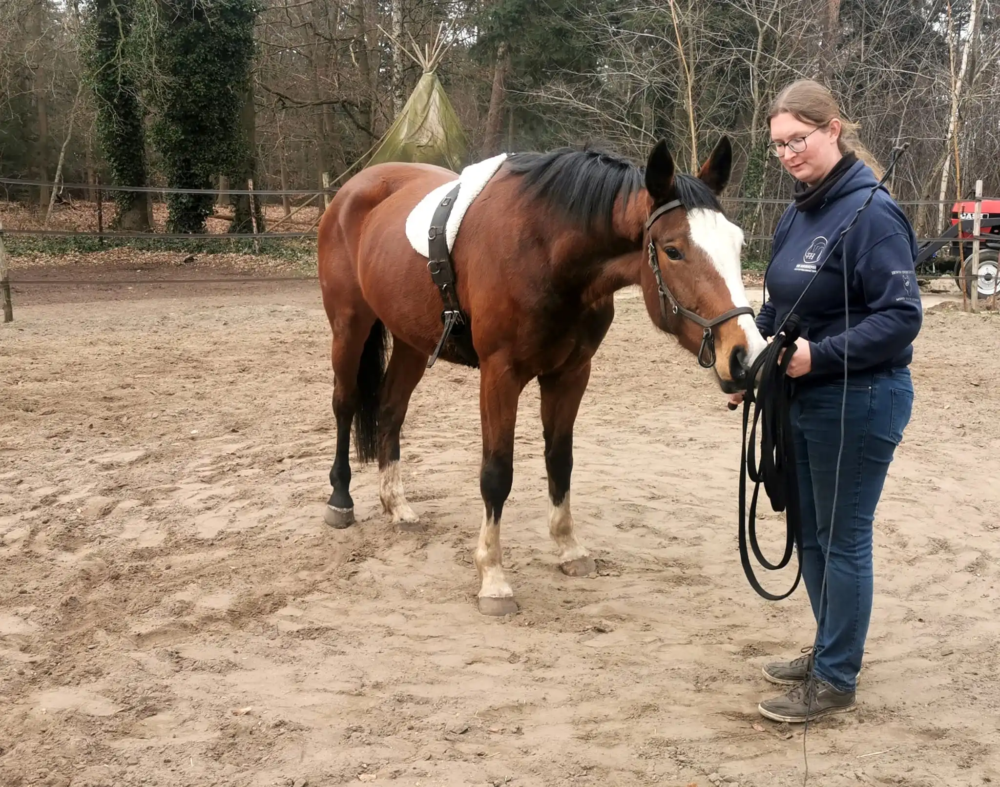 Harmonische samenwerking tussen paard en ruiter
